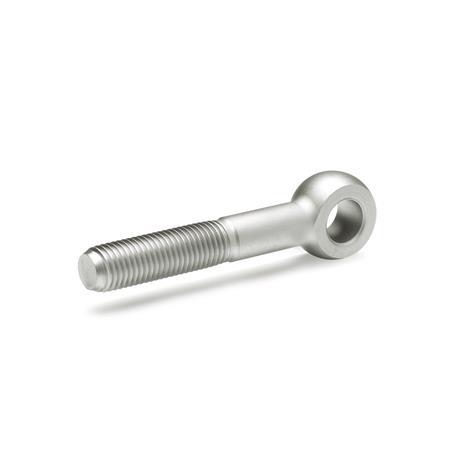 Otto Ganter Stainless Steel Swing Bolt, DIN 444